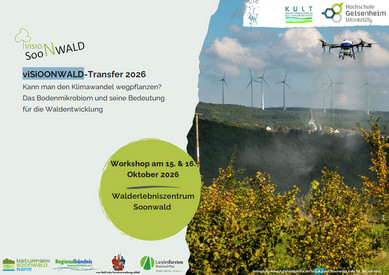 viSiOONWALD-Transfer 2026 viSiOONWALD-Transfer 2026