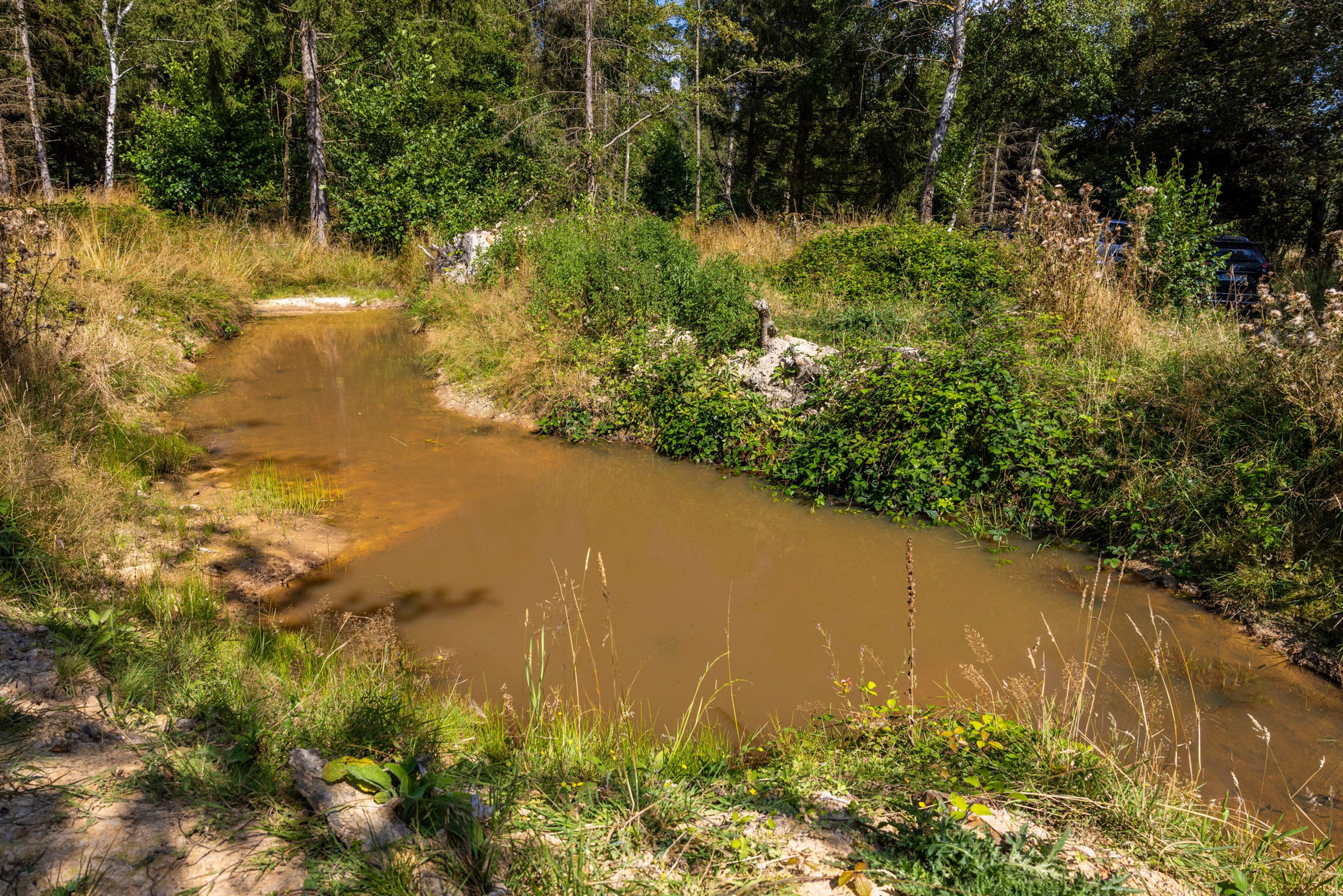 Wasserrückhalt