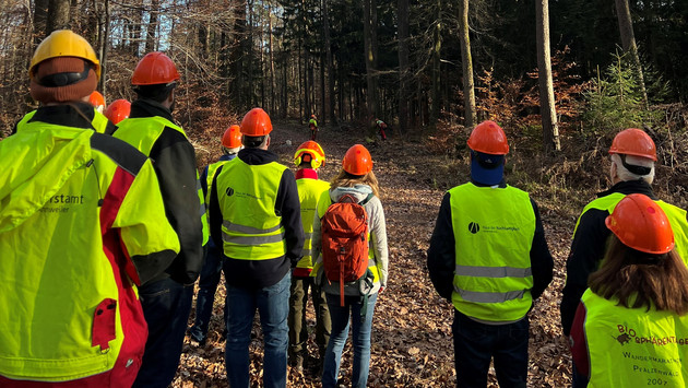 Exkursion zur Erzeugung von Wertholz bei Douglasie Exkursion zur Erzeugung von Wertholz bei Douglasie