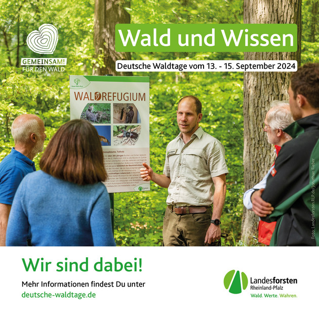 Wald als Bildungs- und Forschungsort erleben