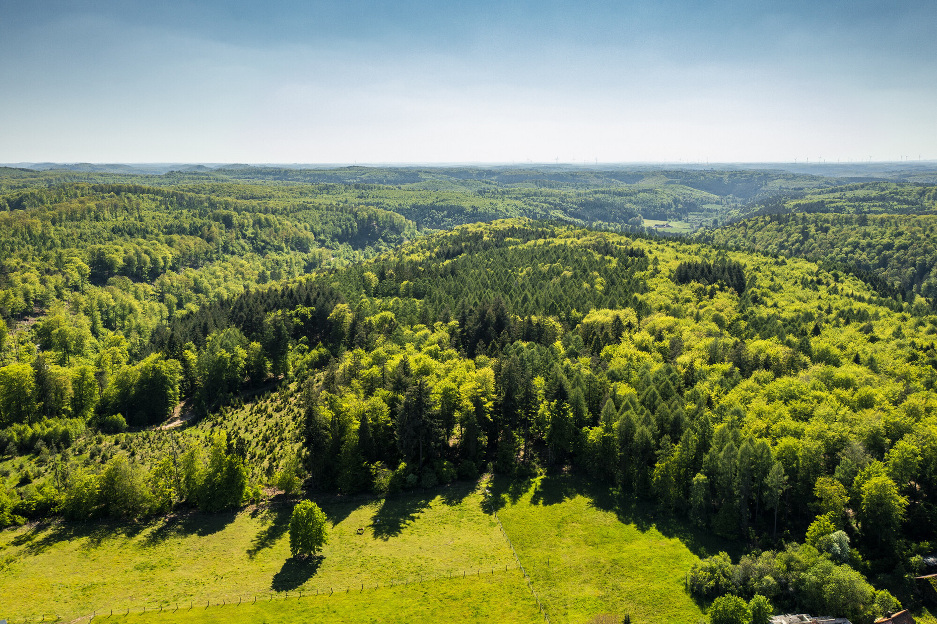 Wald Luftbild Das Bild zeigt: Wald aus der Drohnenperspektive.