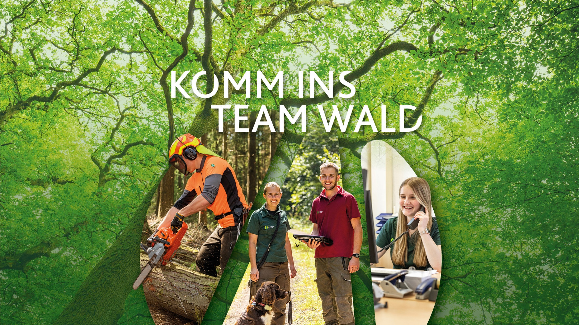 Komm ins Team Wald Das Bild zeigt verschiedene Berufszweige bei Landesforsten Rheinland-Pfalz.