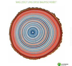 Wenn Sie dieses Bild anklicken gelangen Sie zum Thema "Wald in der Klimakrise". Wenn Sie dieses Bild anklicken gelangen Sie zum Thema "Wald in der Klimakrise".
