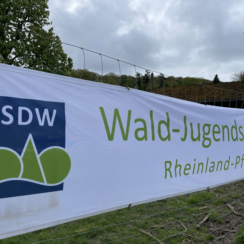 Die Wald-Jugendspiele Rheinland-Pfalz, eine Kooperation zwischen der Schutzgemeinschaft Deutscher Wald und Landesforsten Rheinland-Pfalz