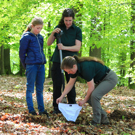 Mitarbeiterinnen des Waldbildungszentrums vergraben die Unterhosen im Wald.