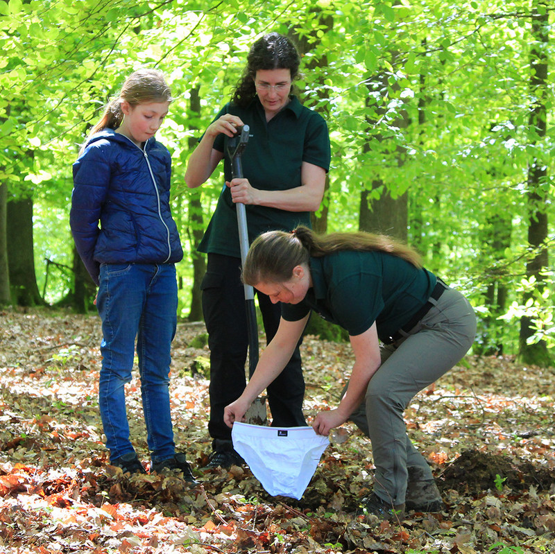 Mitarbeiterinnen des Waldbildungszentrums vergraben die Unterhosen im Wald.